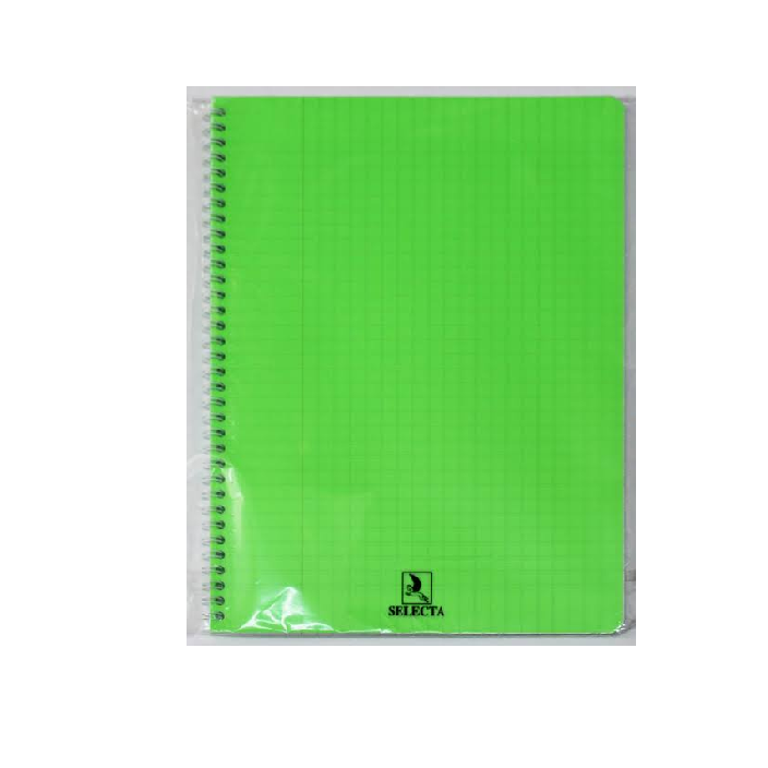 image Cahier 100P Selecta