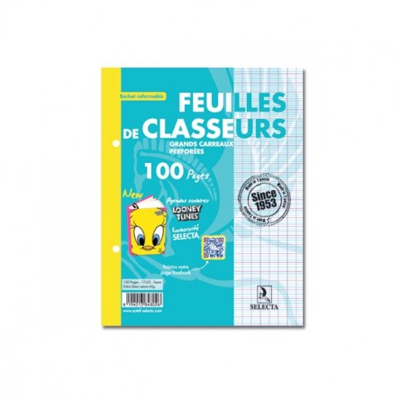 Image Papier De Classeure